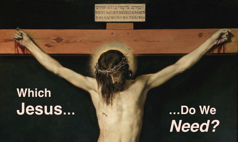 Which Jesus Do We Need? Image